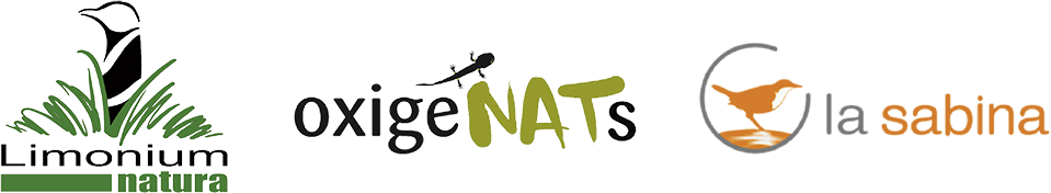Logos 01